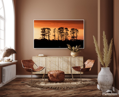 Tree line silhouette on a stunning bright orange backdrop sunset