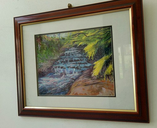 White water flows towards the Fitroy falls
surrounded by luscious foliage