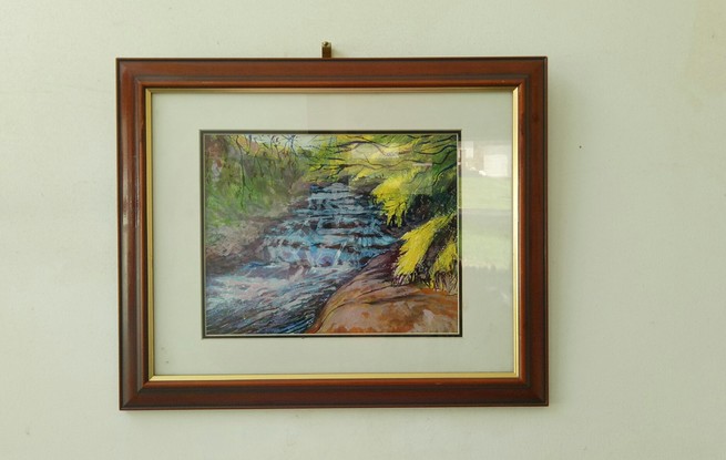 White water flows towards the Fitroy falls
surrounded by luscious foliage