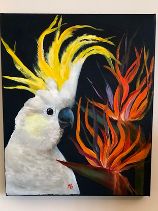 White cockatoo and bird of paradise plant. 