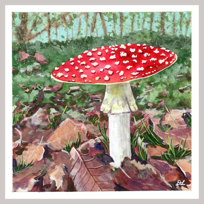 fairy mushroom also know as Amanita muscaria