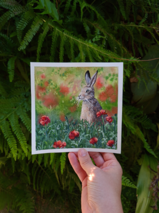 jackrabbit in a field of red poppies