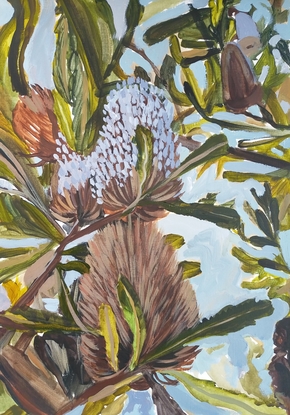 Banksia flowers