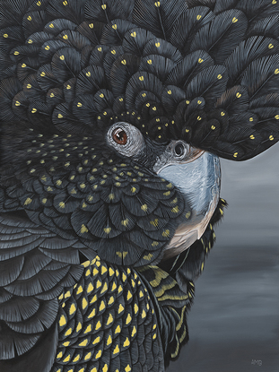 Sharon Black Cockatoo is an original acrylic painting by Anne-Marie Bloor.