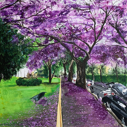 Jacaranda flowers and trees  by the park