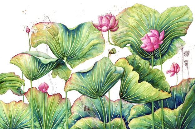 Beautiful large green lotus leaves fill most of this painting, with lotus flowers, buds, pods and small pen ink drawings on fine delicate papers collaged onto painting. 