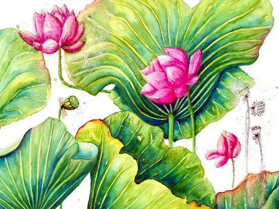 Beautiful large green lotus leaves fill most of this painting, with lotus flowers, buds, pods and small pen ink drawings on fine delicate papers collaged onto painting. 