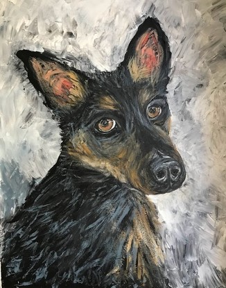 Torso of a black and tan kelpie dog on a textured grey background