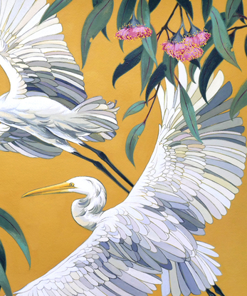 Two white egrets in flight against a golden yellow background. The scene is framed by boughs of native Australian Princess Gums in bloom.