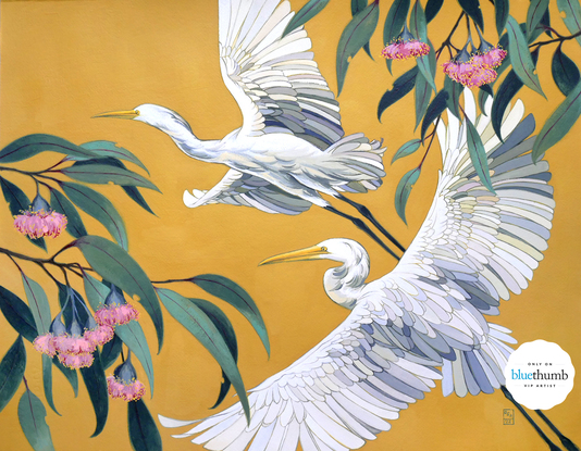 Two white egrets in flight against a golden yellow background. The scene is framed by boughs of native Australian Princess Gums in bloom.