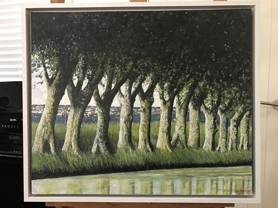 A landscape depiction of an avenue of trees in the South Western part of France, along the Canal Midi