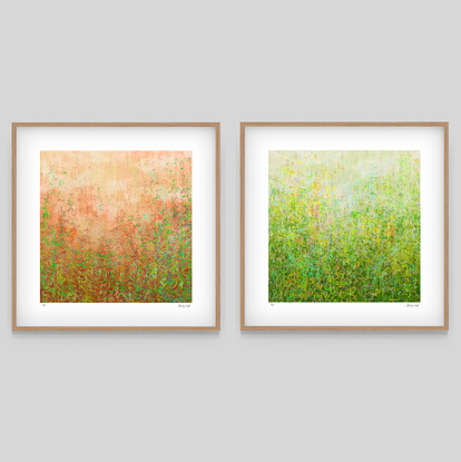 'Garden Series' Blushing Garden and Summer Garden-  set of 3' has been released as a limited edition print of 35.