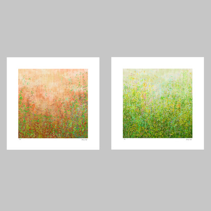 'Garden Series' Blushing Garden and Summer Garden-  set of 3' has been released as a limited edition print of 35.