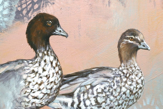 Four Australian Wood Ducks in a relaxed group with an abstracted realistic background in muted pinks soft blues and grey