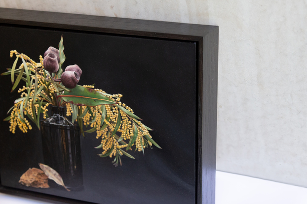 Still life of black, Hendrick’s Gin bottle filled with golden wattle and gumnut bunches on a black background. Warm-coloured, angular rock and one dried leaf perched in front of the bottle. Framed in Japan black stained frame.