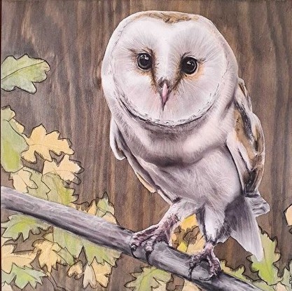 nighttime on a leafy branch stands a watchful barn owl with enquiring eyes
