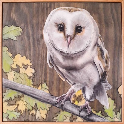 nighttime on a leafy branch stands a watchful barn owl with enquiring eyes
