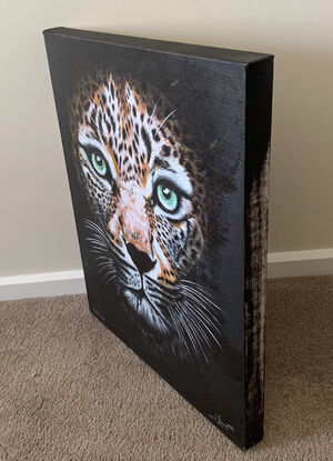 Close up view of a jaguar cat with green eyes