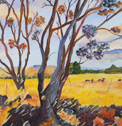 a field of gold under a blue and cream sky with distant blue ranges and a farm with a herd of cows grazing and a couple of gum trees with quirky foreground colours