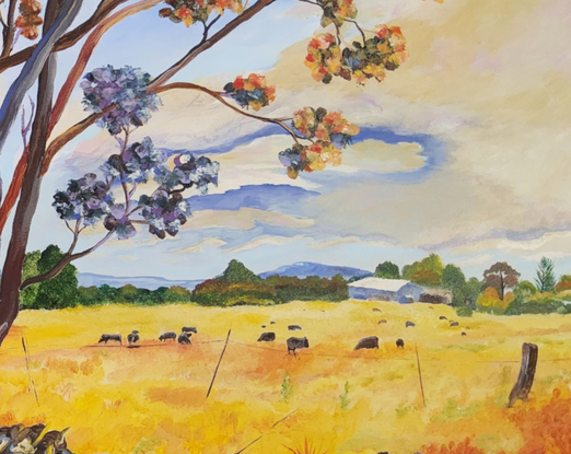 a field of gold under a blue and cream sky with distant blue ranges and a farm with a herd of cows grazing and a couple of gum trees with quirky foreground colours