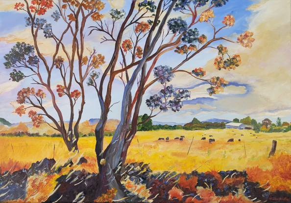 a field of gold under a blue and cream sky with distant blue ranges and a farm with a herd of cows grazing and a couple of gum trees with quirky foreground colours