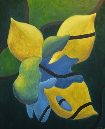 Amorphous shapes in yellow, blue and green on a green background.