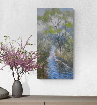 Australian river scene and water reflections