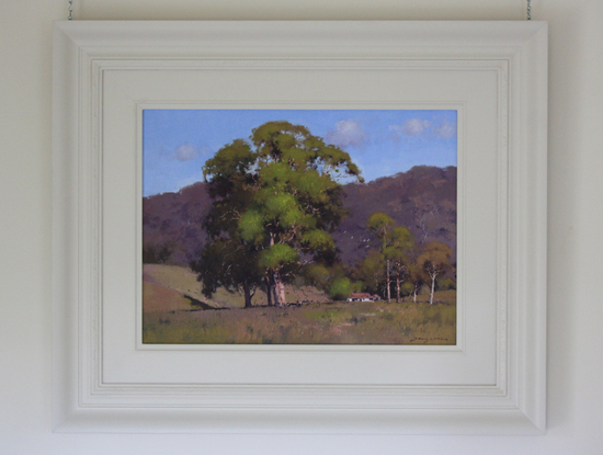 A rural scene with a large gum and distant farmhouse.