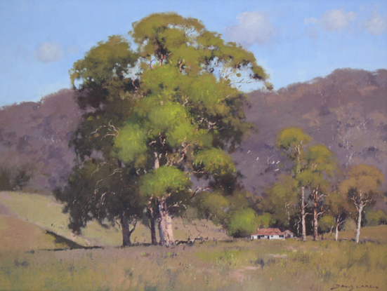 A rural scene with a large gum and distant farmhouse.