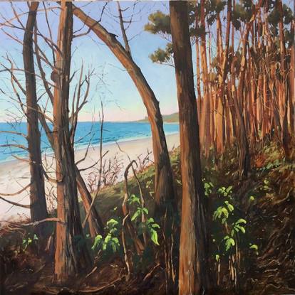 A painting of the fading light at Amity Point on North Stradbroke Island focusing on the wonderful trees that line the beach.