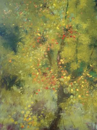 Tone-on-tone olive green painting of young tree in dense scrub, with sunlit leaves in warm tones. By Australian artist Victoria Collins. 