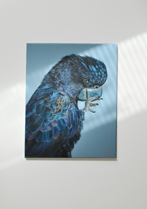 A reflection of golden feather on this special cockatoo with light navy blue background