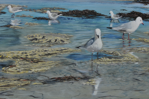 A flock of seagulls rest at the wet sand beach in the sunny day