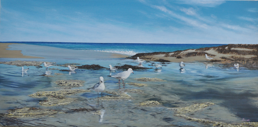 A flock of seagulls rest at the wet sand beach in the sunny day