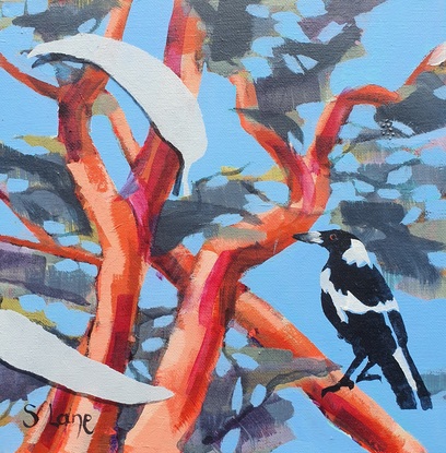 Stencilled magpie superimposed against bright angophora branches.