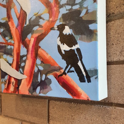 Stencilled magpie superimposed against bright angophora branches.