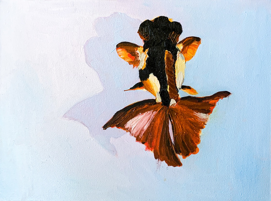 Floating Fish features an orange, yellow, black and white goldfish floating across a sky blue surface casting a shadow. It’s painted with oil paint. The background is painted flat while the goldfish pops out with textured brushstrokes. It is landscape orientation. The sides are 4 cm deep and are painted dusty pink.

Original artwork by Rebecca Hepworth.