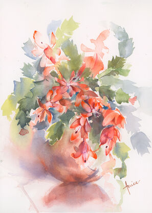 Bright Orange  Christmas Cactus in vase