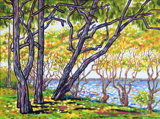 Seaside trees and dappled sunlight