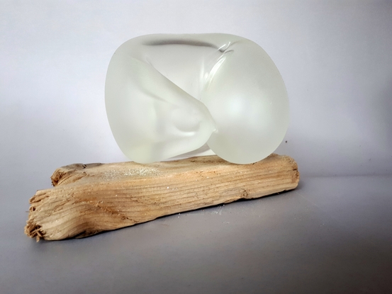 a glass foetal shape curled up on a piece of driftwood