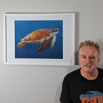 Hawksbill sea turtle swimming in the blue ocean