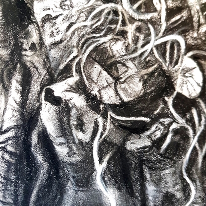 Detailed charcoal drawing in black and white of a Moreton Bay Fig tree. Close up of twisted branches, limbs and tendrils. Organic shapes, curved and winding. White background. greys, black and white.