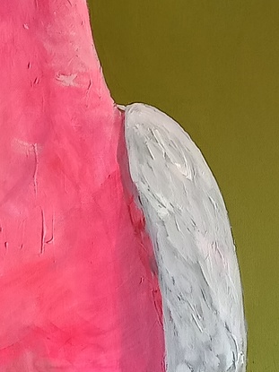 Australian galah on olive green background.