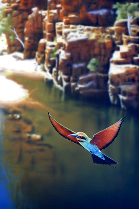 Ormiston Gorges  valley floor is painted slightly out of focus giving a contemporary look against the sharp detail of the flying Bee Eaters. Dramatic red and orange cliff face with a pool of cool water in the valley floor looking out to the blue and purple distant cliff faces,