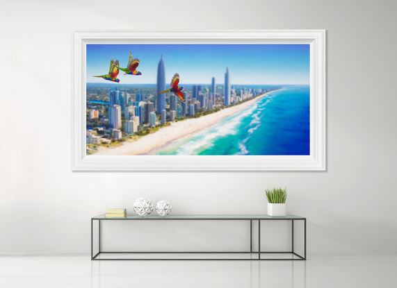 Three Rainbow Lorikeets  in sharp detail flying high over Main Beach on the Gold Coast. The entire landscape has been painted out of focus to create a modern composition just as our eyes would see it.