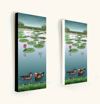 ducks and lotus in lily pond