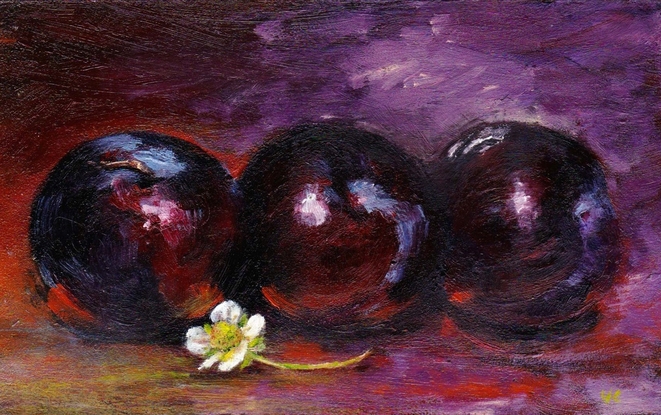 small still life of three pears on dark background highlighted in mauve, with white strawberry flower