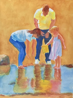 Family catches something in a rockpool in the sunshine.