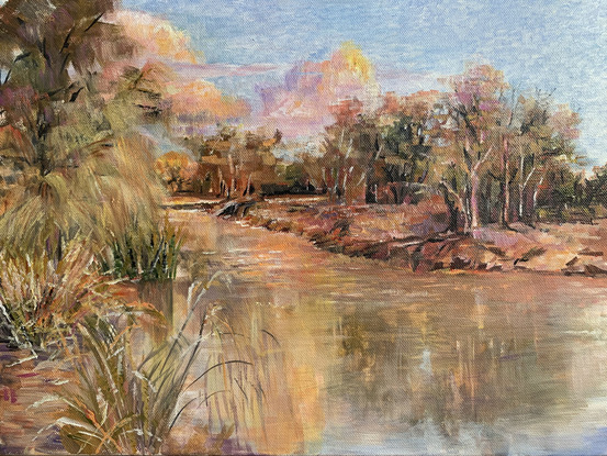 a painting of reeds and gum trees around a river all washed with the colours of sunset