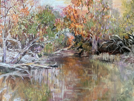 Some white barked river gums surround the waters edge, touched by golden light of the sunset the eye is drawn past white driftwood towards the setting sun between the trees.